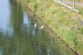 IMG 7790 YRI