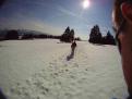 FILE0231
