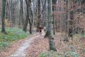 IMG 0725 YRI