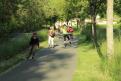 IMG 6075 YRI