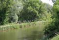 IMG 6872 YRI