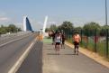 IMG 7270 YRI