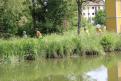 IMG 6859 YRI