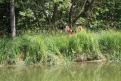 IMG 6832 YRI