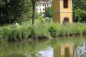 IMG 6862 YRI