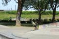 IMG 7987 YRI