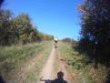 YRI VTT 00336