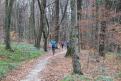 IMG 0646 YRI