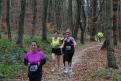 IMG 0498 YRI