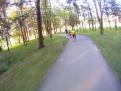 FILE0499