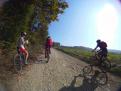 YRI VTT 00211