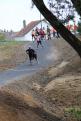 IMG 7293 YRI
