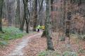 IMG 0632 YRI