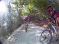 YRI VTT 00195