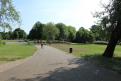 IMG 7908 YRI