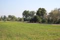 IMG 7801 YRI