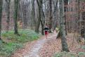 IMG 0411 YRI