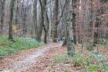IMG 0666 YRI