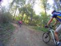 YRI VTT 00151
