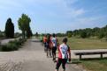 IMG 7963 YRI