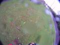 YRI3 Drift 0136