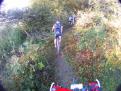 YRI VTT 00019
